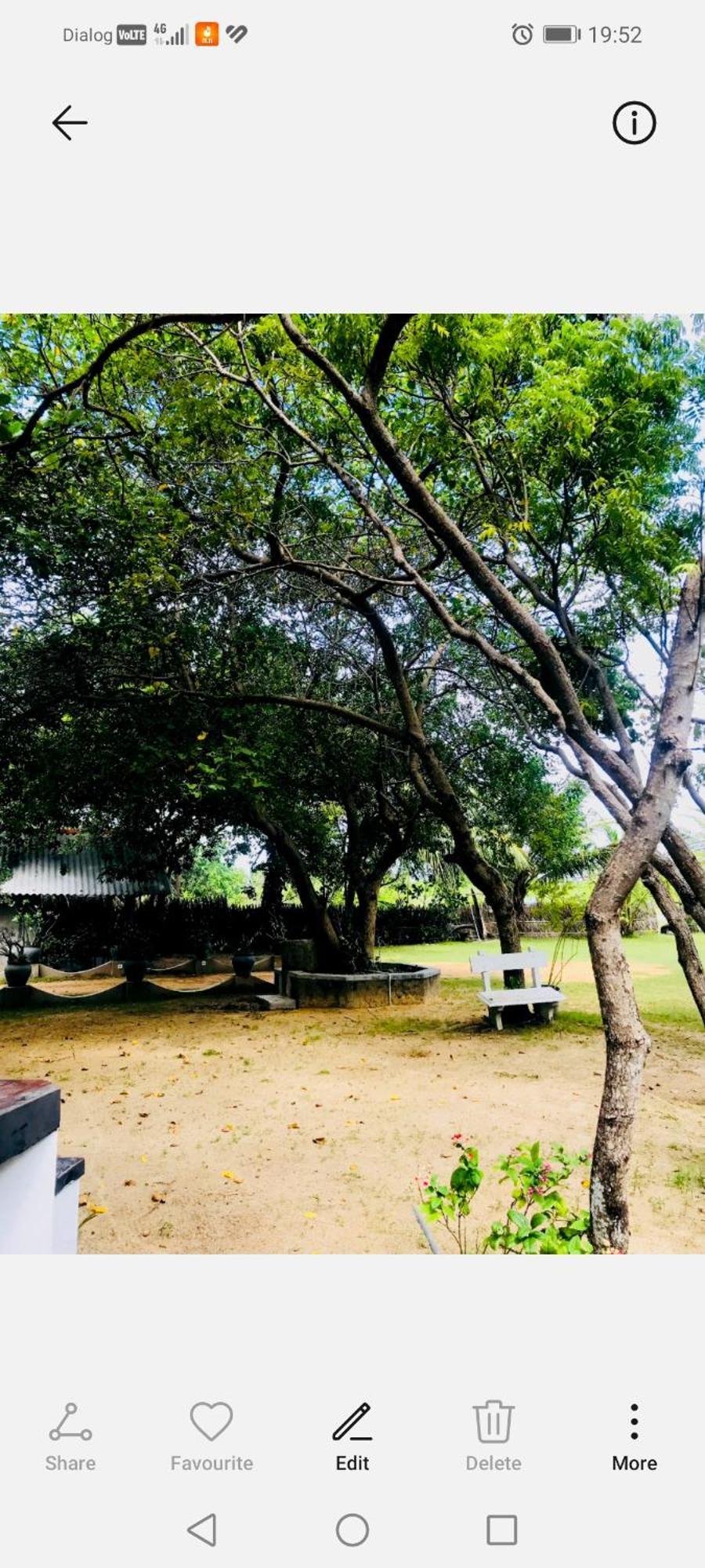 Werala Beach Resort Kalpitiya Exteriör bild